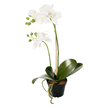 Orkidé Konstgjord Blomma Vit